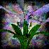 encouragedesire.bmp