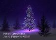 blog-christmas-tree.jpg