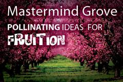 Mastermind Grove